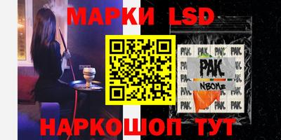 спиды Новодвинск