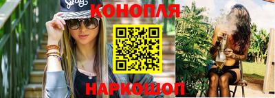 шишки Новозыбков
