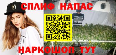 шишки Новозыбков