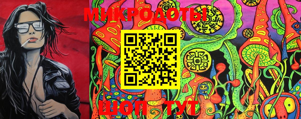 Галлюциногенные грибы Cubensis Славгород